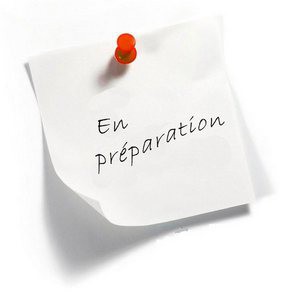 en_preparation